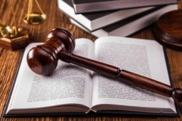 Особенности административного судопроизводства: принципы права