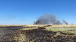 Возгорание камыша на озере Сарыколь Коргалжынского района локализовано