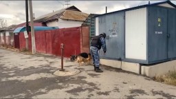 Пьяный житель Кокшетау сообщил о взрывном устройстве в доме