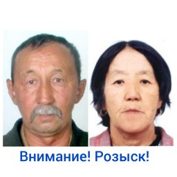 Акмолинские полицейские разыскивают потерявшихся в лесу супругов