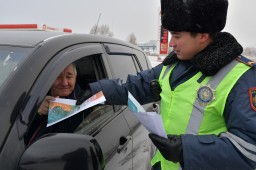 Почему казахстанцы гибнут на дорогах?