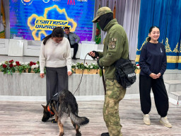 ​Незнание закона не освобождает от ответственности