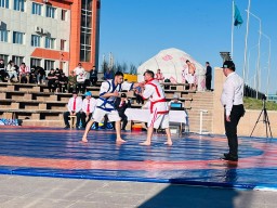 В Кокшетау прошел турнир по қазақ күресі «Ақмола Барысы»