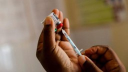 Вторая вакцина от малярии одобрена ВОЗ. Почему это важно?