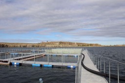 В Акмолинской области открылся рыбоводческий комплекс по выращиванию форели