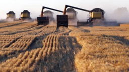 Уборка зерновых завершается в Акмолинской области