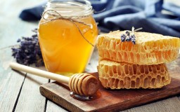 Пчеловоды из Алтая и Башкирии привезли в Кокшетау больше 20 сортов меда