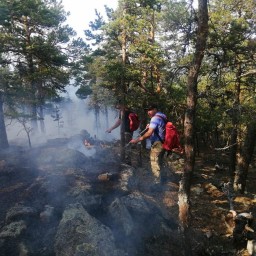 Благодаря работе Smart-системы удалось обнаружить и локализовать пожар на горе "Кокшетау"