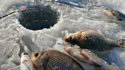 Фестиваль зимней рыбалки &laquo;BurabayFishingCup 2026&raquo; пройдет в Бурабай