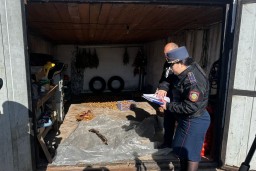 Незарегистрированную винтовку изъяли у жителя Кокшетау