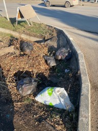 Жители Кокшетау выбрасывают пакеты с мусором на чистой улице
