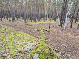 ​Экологическая идеология ГНПП &laquo;Бурабай&raquo;: как сохранить природу и не закрыть её от людей