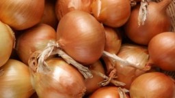 Запрет на экспорт лука в РК: в приоритете реализация овощей на внутреннем рынке