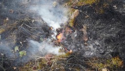 В очередной раз грозовой разряд молнии стал причиной возгорания в Акмолинской области