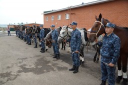 Новый кавалерийский взвод будет обеспечивать безопасность туристов в Боровом