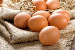 Минус 10 тг: крупный акмолинский поставщик яиц исполнил уведомление антимонопольщиков