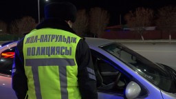 Более 9 тыс. владельцев огнестрельного оружия зарегистрировано в Акмолинской области