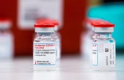 Жителям трех городов Германии ввели просроченную вакцину