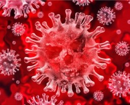 ​Об эпидемиологической ситуации по коронавирусу на 11 июля 2020 года в Казахстане