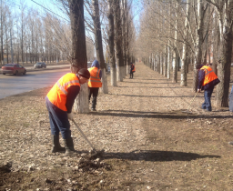 Общегородской субботник пройдет в Кокшетау