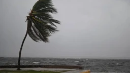 Ураган «Мелисса»: Ямайка готовится к самому мощному шторму 2025 года Ураган «Мелисса»: Ямайка готовится к самому мощному шторму 2025 года