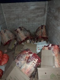 Акмолинца, перевозившего мясную продукцию без документов, привлекли к адмответственности
