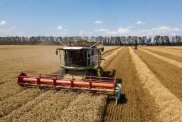 В Акмолинской области завершена уборка зерна: аграрии намолотили более 3 млн тонн