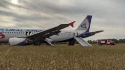 Самолет с казахстанцами на борту экстренно сел на поле в Новосибирской области