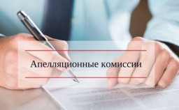 Решения Апелляционной комиссии доступны на официальном сайте Министерства финансов РК