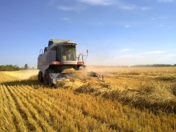 Токаев поручил правительству оказать необходимую помощь производителям зерна