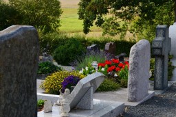 Вандалы осквернили десяток могил на кладбище в Акмолинской области