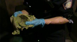 Нож, гранату и восемь килограммов марихуаны нашли дома у акмолинца