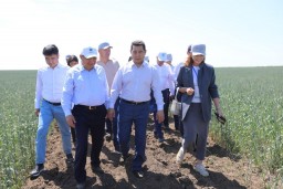 Ақмола облысында «Jańa Dala – 2025» халықаралық агрокөрмесі ашылды Ақмола облысында «Jańa Dala – 2025» халықаралық агрокөрмесі ашылды