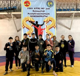 Акмолинцы завоевали 11 медалей на чемпионате Казахстана по ушу саньда