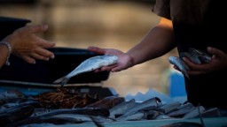 Казахстан будет продавать рыбу европейцам