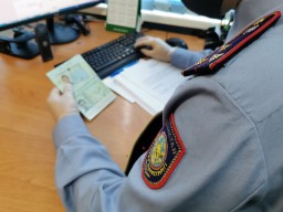 14 иностранцев выдворили из Акмолинской области за нарушение миграционного законодательства