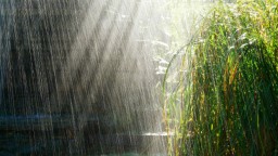 Дождь и грозу прогнозируют метеорологи в воскресенье в Акмолинской области