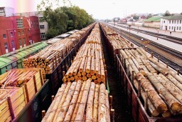 Из Казахстана запретили вывозить некоторые виды лесоматериалов