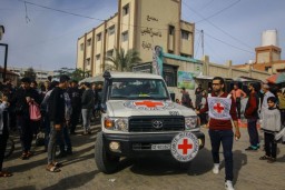 ВОЗ сообщила о 369 тыс. случаях инфекционных заболеваний в секторе Газа