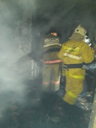 За одну неделю в Акмолинской области произошло 17 пожаров