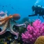 Гигантский осьминог в Турции чуть не утащил подростка под воду