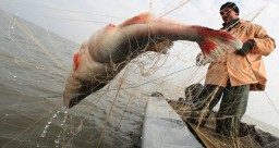 Здесь рыба есть, экспортировали на 75 - импортировали на 72 млн. долларов США