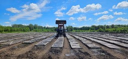 ​Қалың орманның болашағы «Бурабай» ұлттық паркінің тәлімбағынан басталады