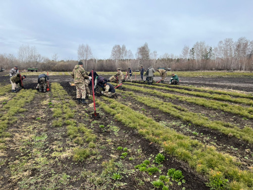 ​В Бурабае стартовала ежегодная экологическая акция &laquo;Марш парков 2026&raquo;