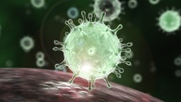 43 случая заболевания коронавирусом зарегистрировано в Акмолинской области