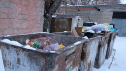 Сильные морозы стали причиной несвоевременного вывоза мусора в Кокшетау (ВИДЕО)