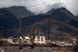 Число погибших при пожаре на Мауи выросло до 106. Опознаны первые жертвы