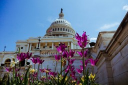 Сенат США одобрил план по борьбе с изменением климата и снижению инфляции