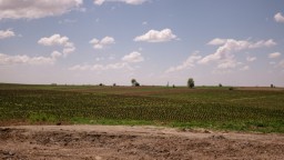 Три земельных участка вернули государству в Акмолинской области