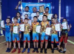 Юные борцы вольного стиля завоевали 18 наград в Петропавловске